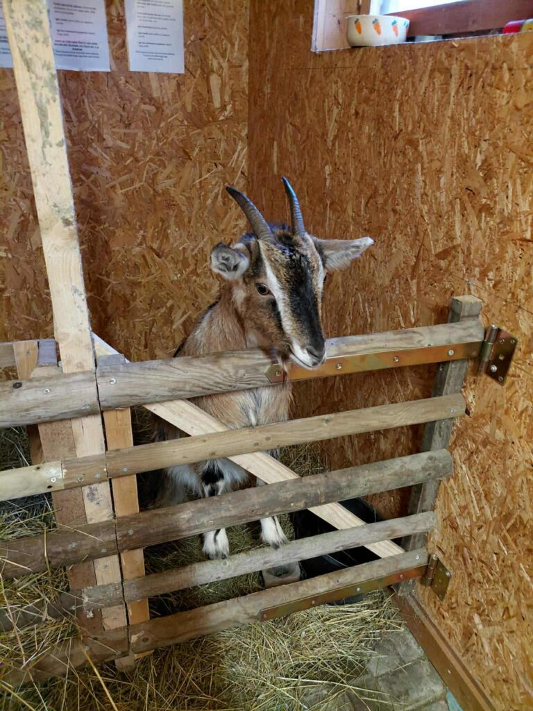 att.NsFaj-ZtyFhJzIbkieXl2rA-rlaQ3oxtLLP8L_Yep-8